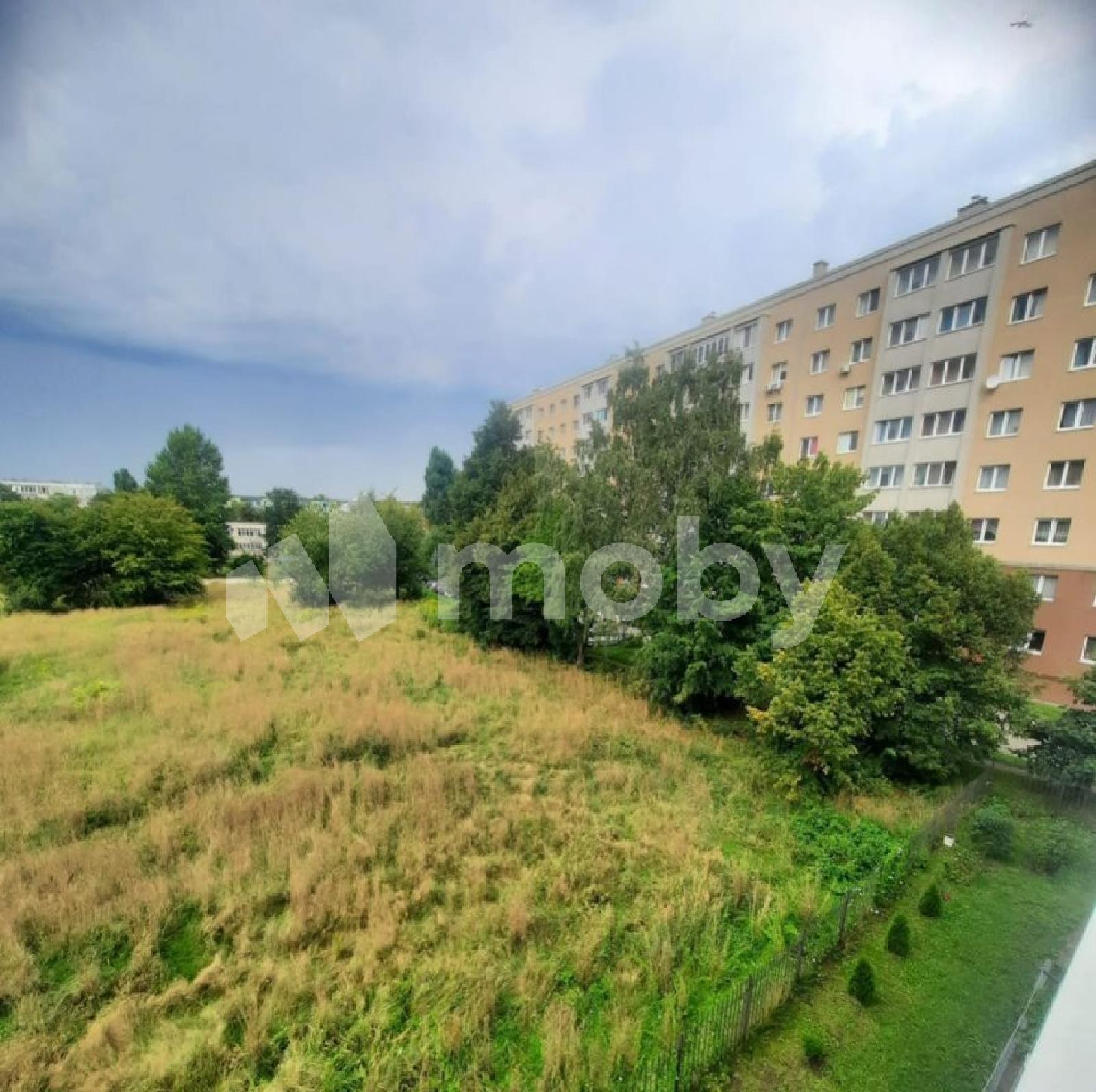 Фото: fae0040d-54be-4305-a212-2a9d39c80fab.jpg