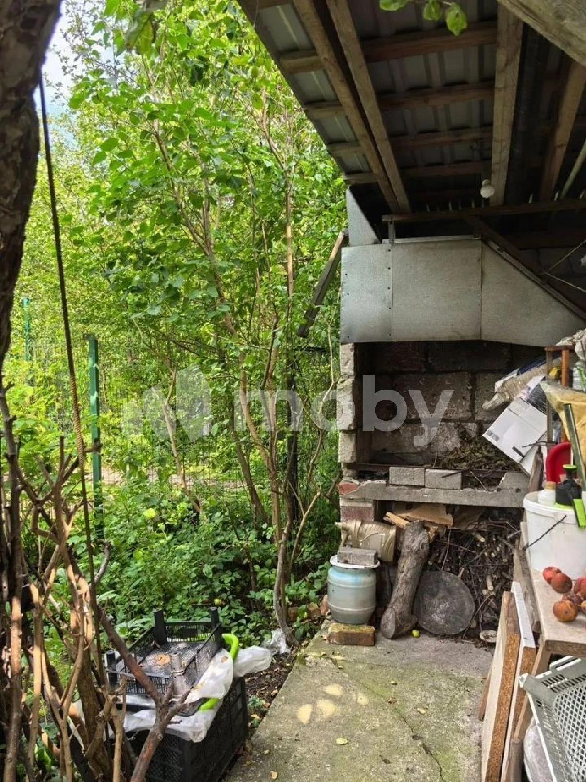 Фото: fb0bbf53-86ae-4fe9-bdca-0bb3e46fea64.jpg