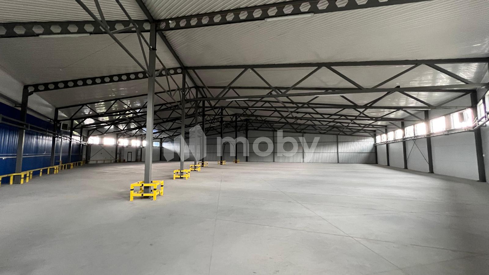 Фото: fb43246e-3418-429a-ab56-5d7dc3b7f0e5.jpeg