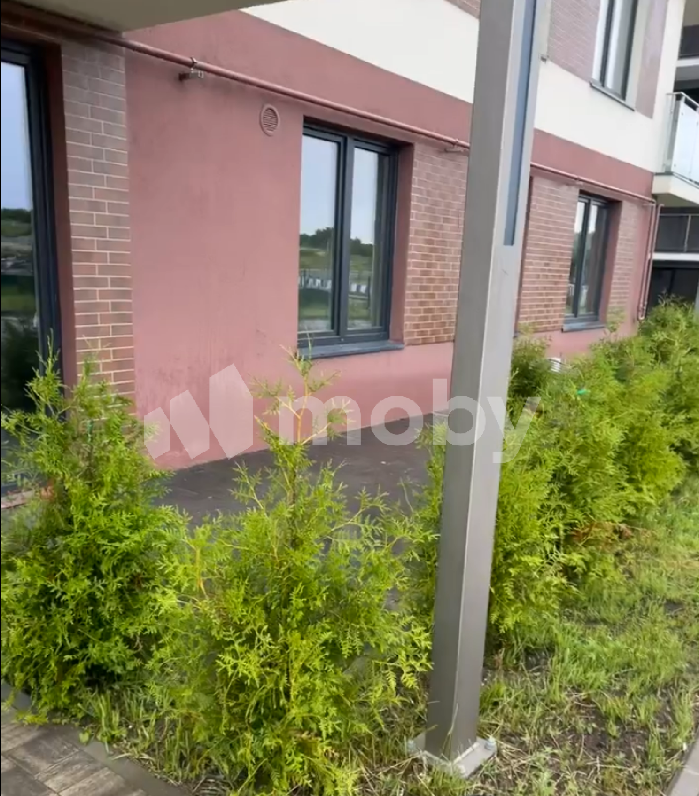 Фото: fb8218d0-bf37-4a0a-90e5-944c296c53fa.png