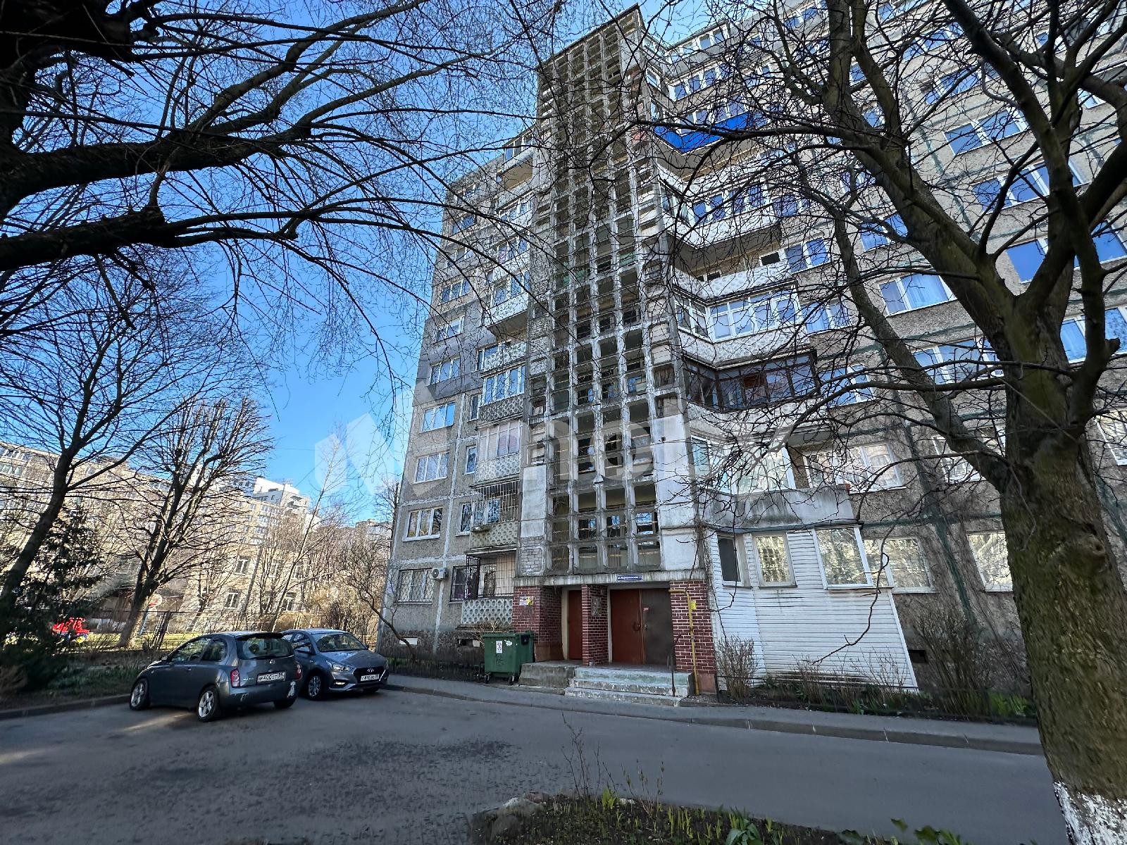 Фото: fbd3e86c-ebc6-4eec-aed0-2d38b8d02c8e.JPG