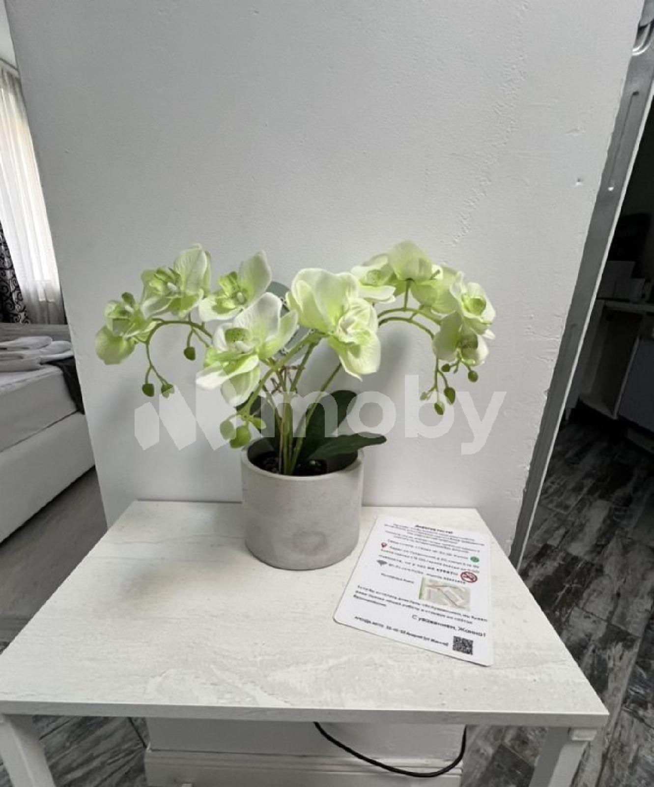 Фото: fc6e55ec-6831-419e-898a-1e4ec651bae1.jpg