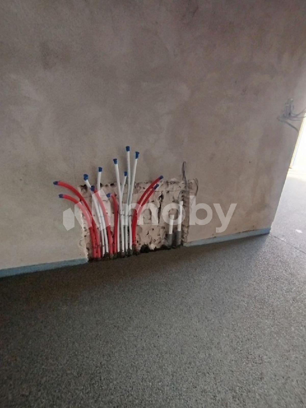 Фото: fcd916bc-04e2-4d82-a2e8-e73eb032aba4.jpg