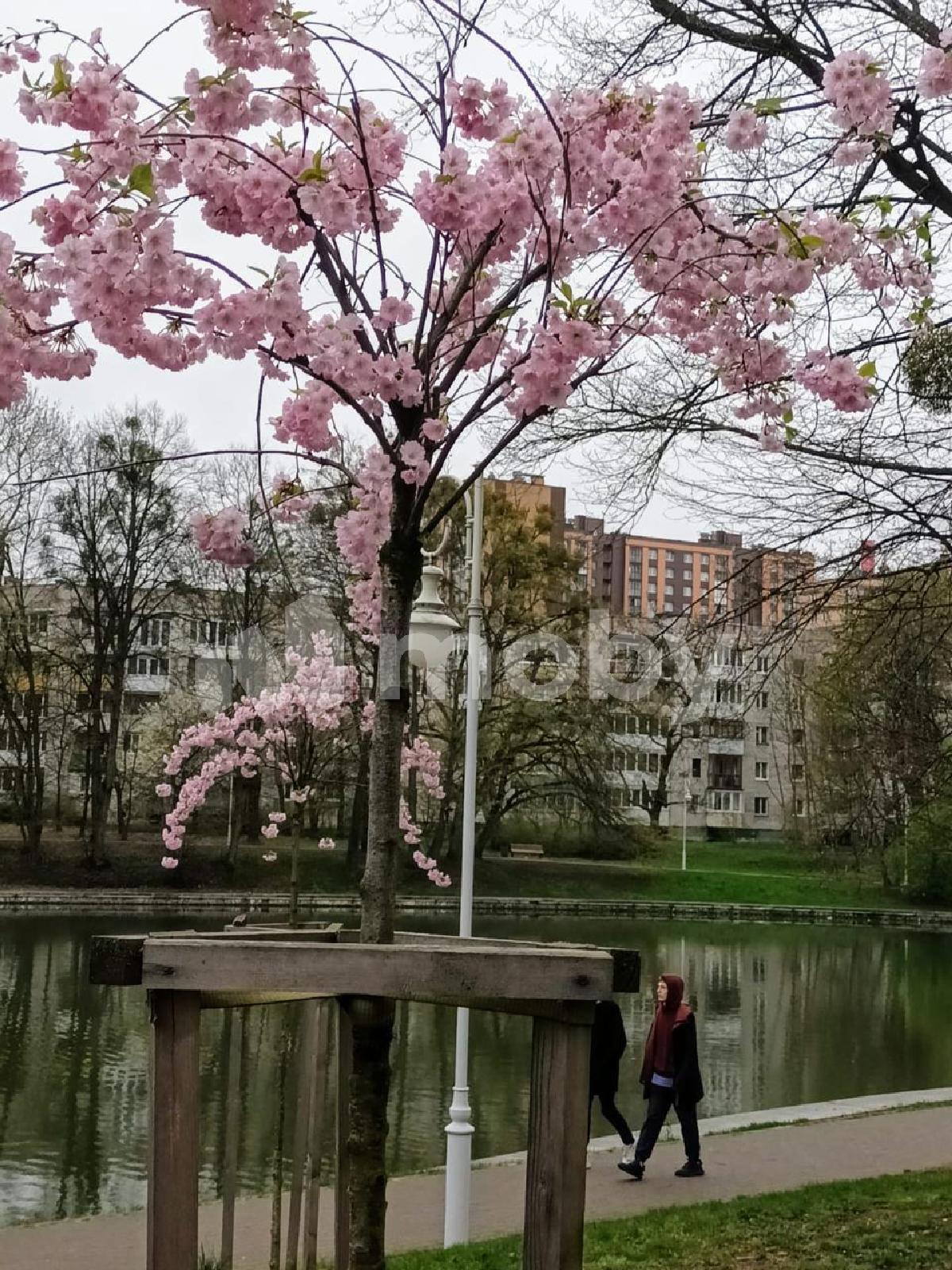Фото: fdb28474-1f79-43f9-970b-117748d55637.jpg