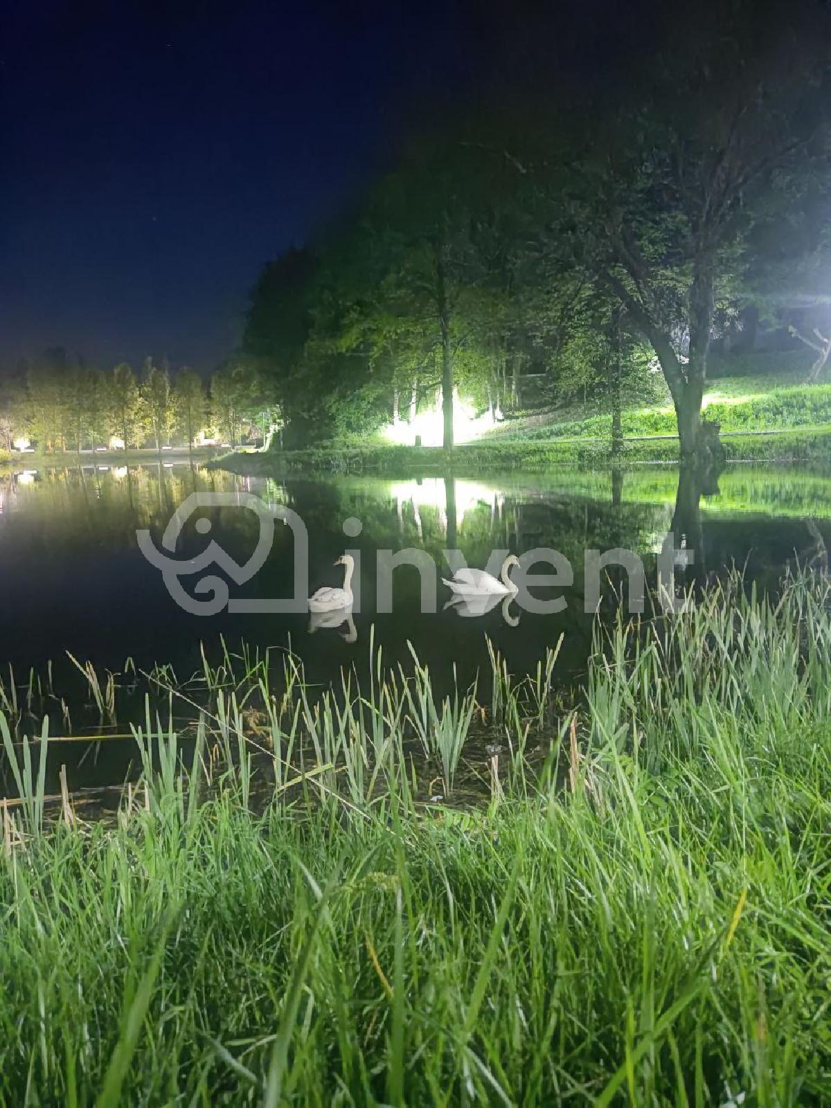 Фото: feb365c7-0210-41fc-87cd-f93547206b55.jpg