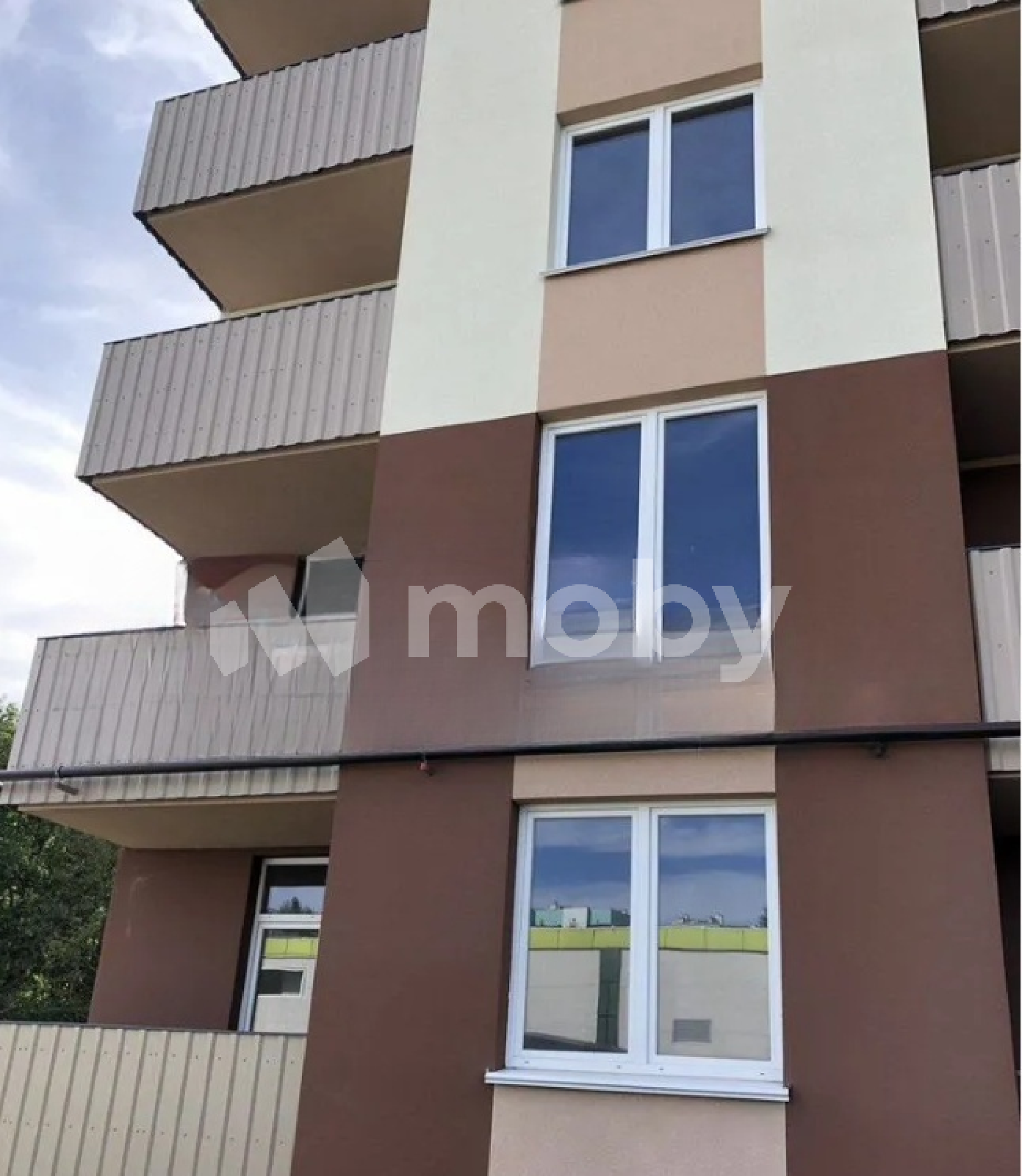 Фото: ff2ceea4-2fce-49b9-bf3a-c4950f34f693.PNG
