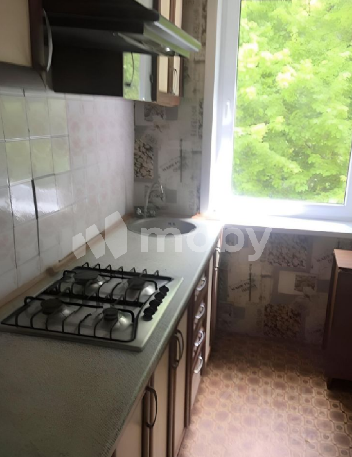 Фото: ff5eb13a-bf25-4657-bdf9-dda4131e5f9a.png