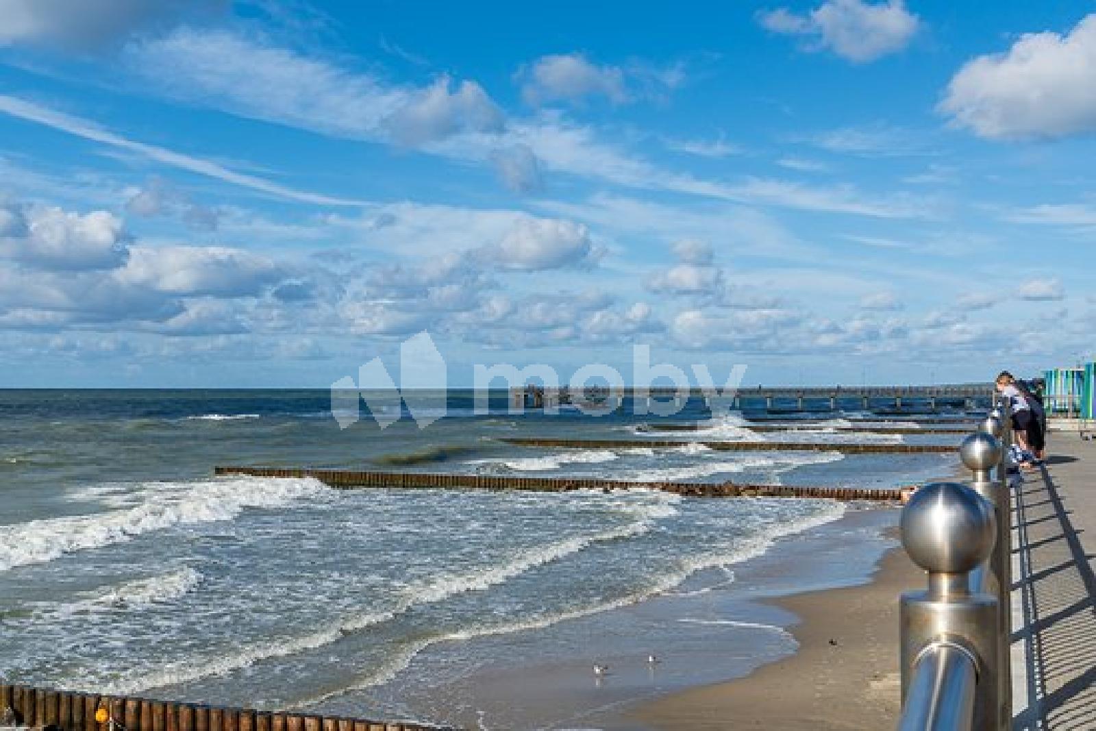 Фото: ff7baac7-0c2a-46f8-8148-1f4a526c7072.jpg