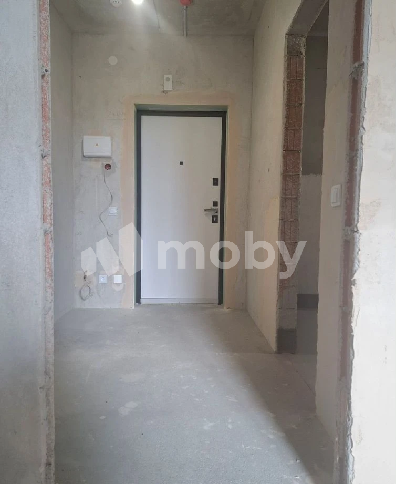 Фото: ffe891c9-e09f-4831-9716-4ac41a108f63.png