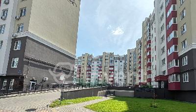 Фото: 0050cc51-0f9f-495f-8fa1-1082b4eba2f2.jpg