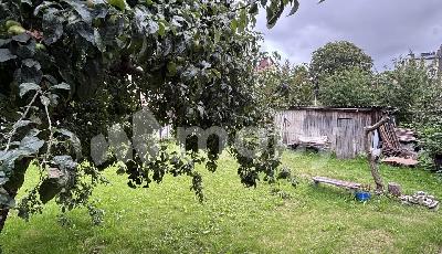г Пионерский, ул Дачная 9, 02cbc5b5-886c-4e11-b1bd-6858ea7e039f.jfif