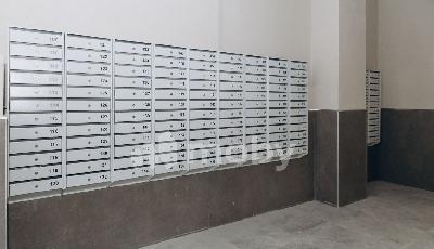 Фото: 0615db96-ec09-4370-a448-51a8cd3ae368.jpg