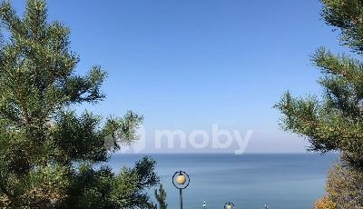 г Светлогорск, Калининградский проспект 79Бк2, 0691e076-f066-471f-9269-289f5504f27b.jpg