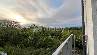 Фото: 087fd648-6d8c-4dcb-ba2f-23cced34f871.jpeg