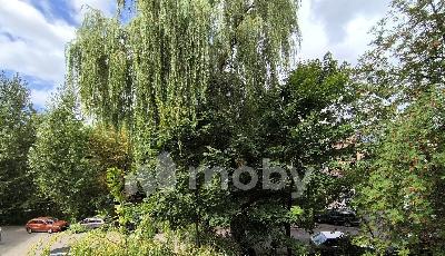 г Калининград, ул Минская 23, 09cad419-f221-4a43-b515-435b00d58609.jpg