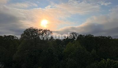 Фото: 0b2a391a-7a10-4708-a472-52ef493b566b.jpeg