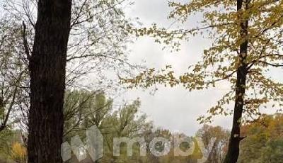 г Калининград, ул Горького 168, 0b2e8b04-da29-44d6-b59e-4ee82eea13f4.jpg
