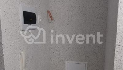 Фото: 0b478143-9db7-47f2-b988-717426fbda9d.jpg
