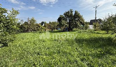 г Пионерский,  , 0ce80231-5aa4-49ef-b28a-4b6e45e4e9eb.jpg