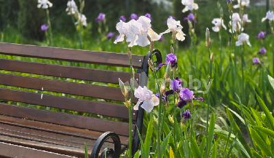 Калининград, ул А.Невского 241, 0cfef344-7e99-404b-beb9-65bffb2586cc.jpg