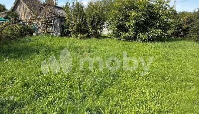 г Пионерский,  , 0d7df747-f298-4f0d-9ca7-30520b5e13ae.jpg