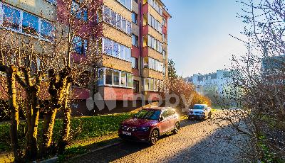 Фото: 0da3bfcb-60fc-42b6-9a99-90ba7da9dda3.jpg