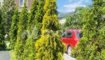 г Калининград, ул Старокаменная 3, 0df7aa1a-9945-468a-9e08-021326a41415.jpg