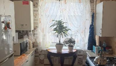 тер с/т Вишенка (поселок Ласкино), ул Согласия 52а, 0e498256-6446-428d-bb95-fbd49f0b35a4.jpg
