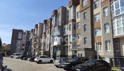 Фото: 0e52a754-f482-47a9-9bbd-7078f21efce0.jpg
