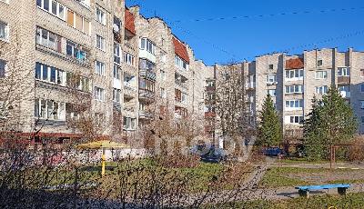 Фото: 0f4cde45-8801-484b-92aa-ebf189b24a70.jpg