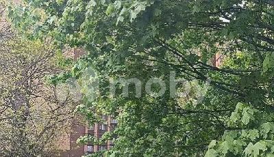 Фото: 1047f87b-5652-48b2-90db-f6a1332f4b67.jpg