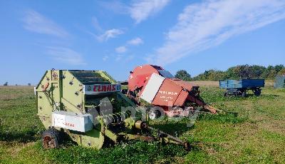 Раздольное посёлок,  1, 10b5e937-a1d7-478b-ac6e-9d8e7fb9961f.jpg