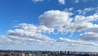 Фото: 116a050e-2813-48b7-962c-0ac7ba1dee4d.jpg