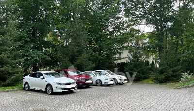 Фото: 14e23028-23f7-411d-b7b5-2c9fe77f206c.jpeg