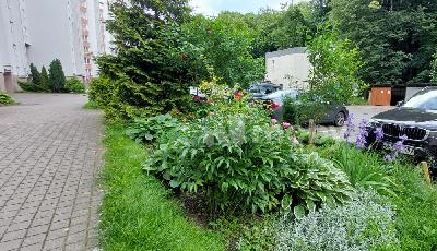 Калининград, ул Ю.Гагарина 2А, 15d5d49a-831b-4820-8e87-11ab81d315f8.jpg