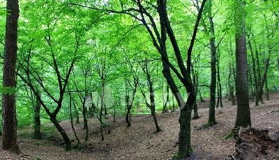 Фото: 174d86e2-47b0-47f4-aa67-cd09ecdcd08a.jpg