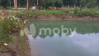 поселок Нивенское, ул Яблочная , 184aa5cb-1b46-413f-b8ba-d99eacff79dc.jpg