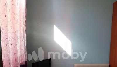 Фото: 1bc9ac13-e903-4f85-94be-e2a60f7742b2.jpg
