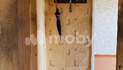 Фото: 1bce855a-60e9-4adb-b7b5-b6a3b52e7f7c.jpg