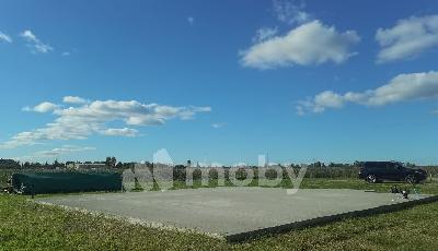 тер. СНТ Ветерок-2 (поселок Шоссейное), ул Цветочная 243, 1c350976-8175-468d-8c54-ede3f8d95607.jpg