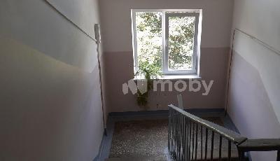 Фото: 1ceaeba2-b808-492c-a087-fdb76f94e9bd.jpg