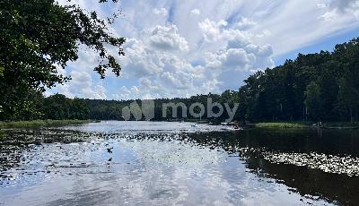 Светлогорск, ул Карла Маркса 6/2, 1dffe833-1efd-43f9-b54a-d116a1f369d1.jpeg