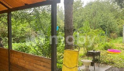 Фото: 1f485bb9-7a9d-4c8d-9f4f-5585f2f6e708.jpg