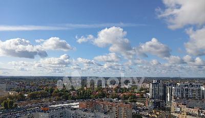Фото: 1fccee02-f7f0-414e-9962-ed454b34c6e2.jpg