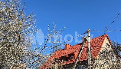 Фото: 2438b598-3760-4ca1-8035-b8ec0c4e4347.jpg