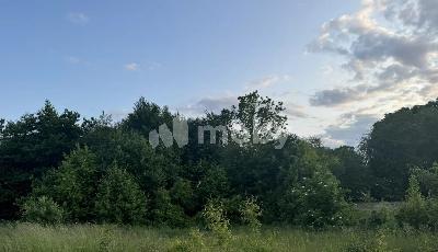 поселок Малое Васильково,  , 24ab94d6-9d6b-4d15-9426-5eb94ad0c09d.jpg