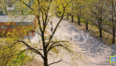 г Калининград, ул Профессора Севастьянова 22, 2699d2b1-9161-4c50-8b28-104260742ba8.png