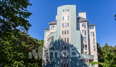 Фото: 2729d493-5042-4fb9-948d-192ea05e6522.png