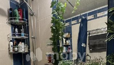 Фото: 272f93cc-9213-4fe2-b581-9d219bb2401f.jpg