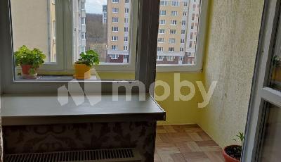 Фото: 298e6ae8-ebde-4d70-90f7-a0200b9d71c4.jpg
